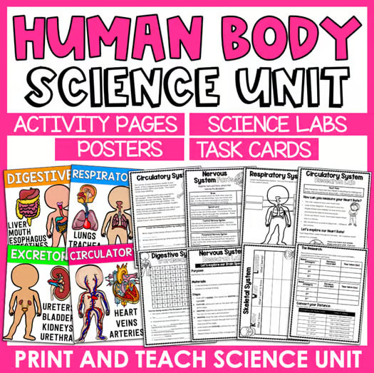 Human Body Systems Unit - Skeletal, Muscular, Nervous, Digestive, Circulatory