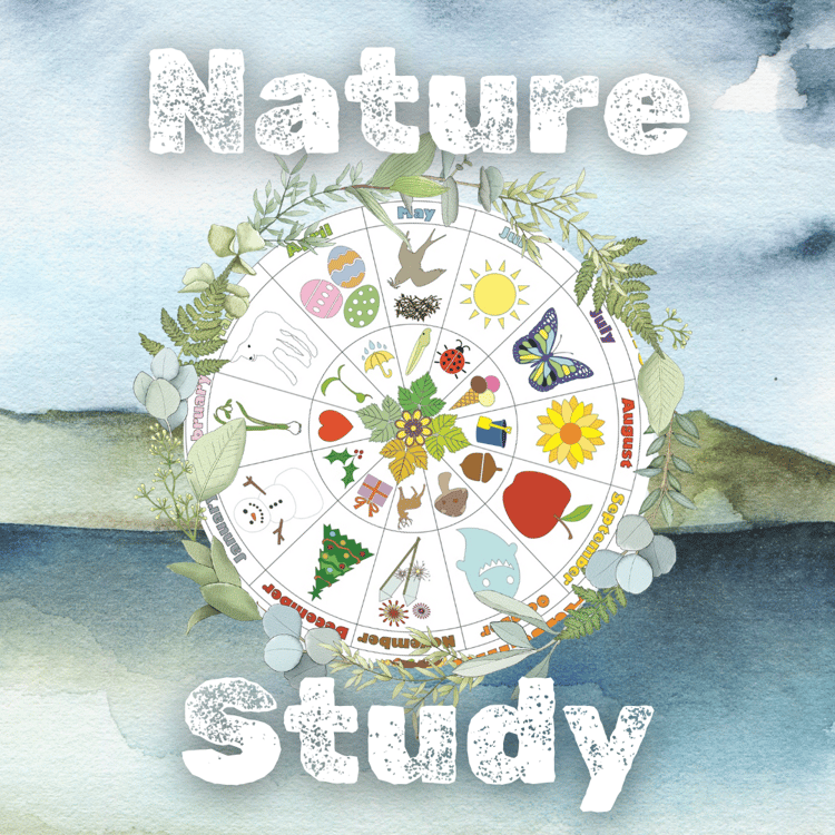 Nature study printables at Dartmoor Kin. Phenology, weather and moon wheels, templates and guides, freebies #exploringnaturewithchildren
