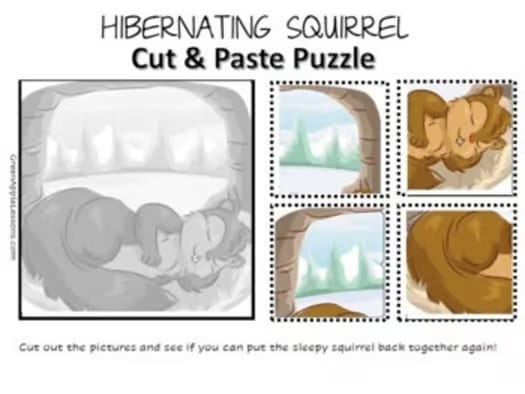 HIBERNATION Worksheets Activities Pre-K, Kindergarten ANIMALS IN WINTER