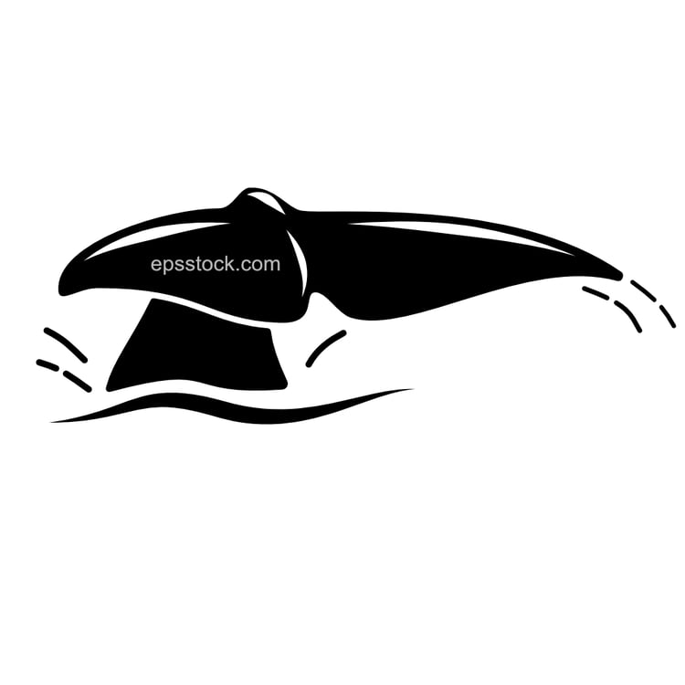 Whale tail above water