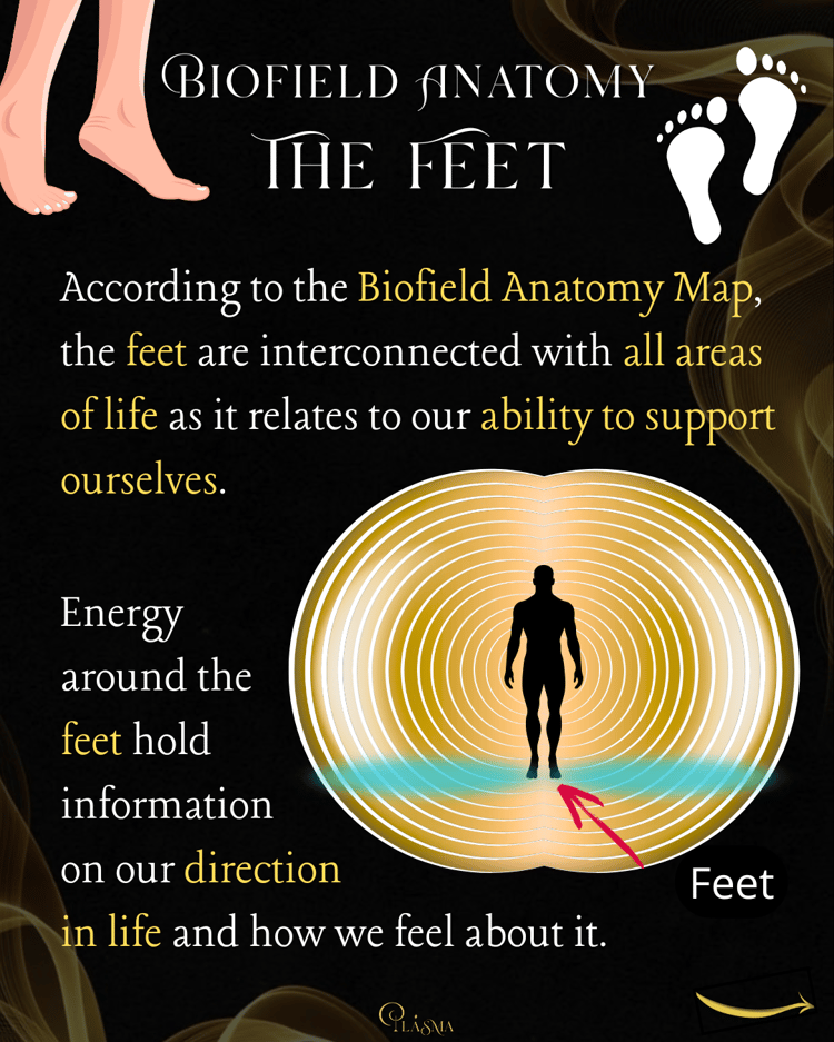 Biofield Anatomy - The Feet 1