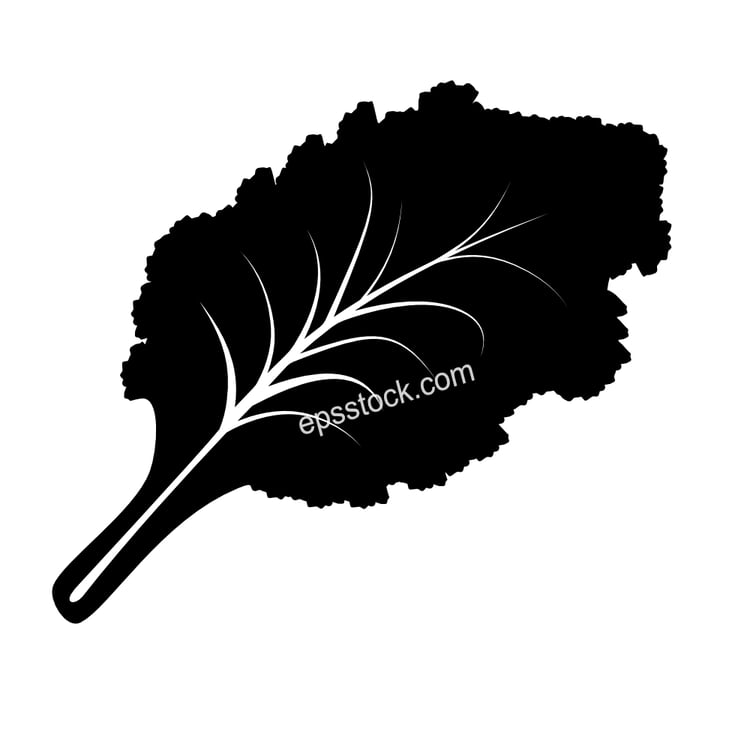 Kale leaf