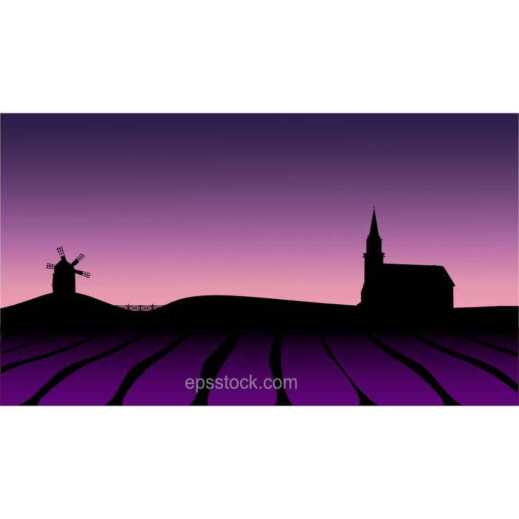 Lavender field landscape