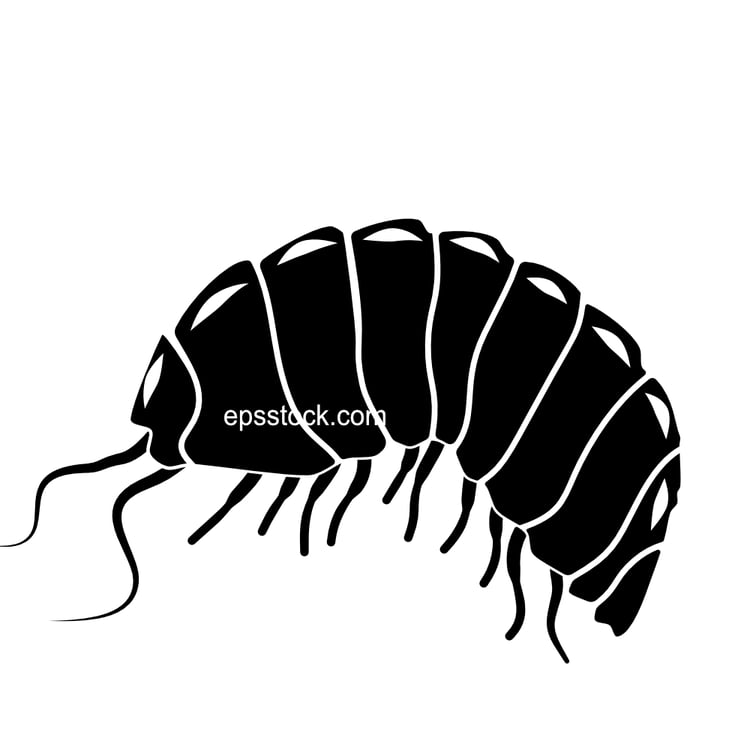 pill bug
