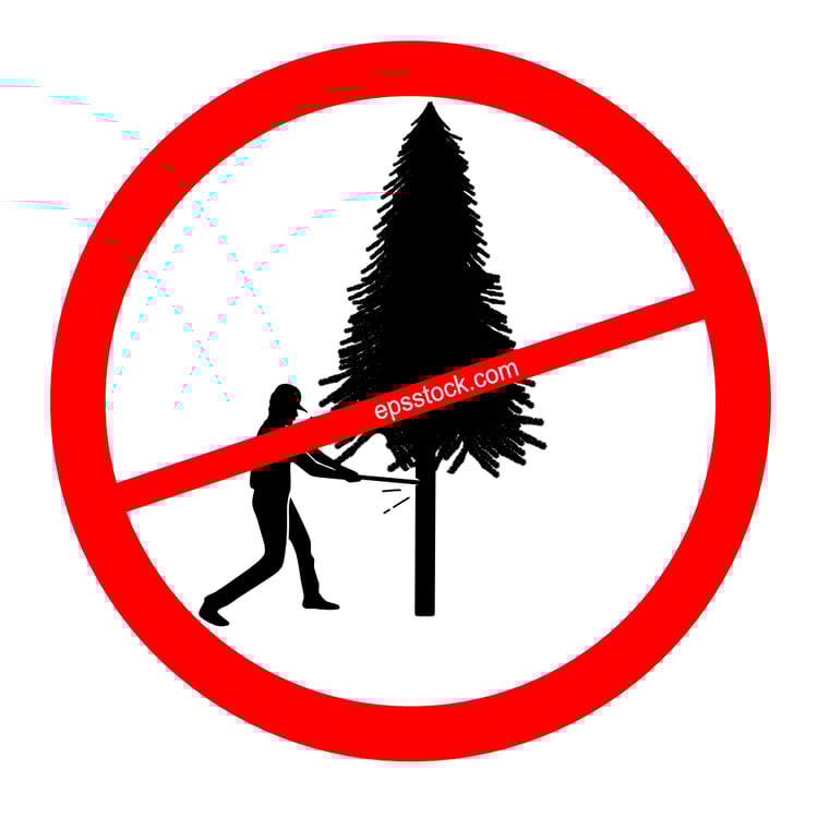 No Christmas trees is forbidden
