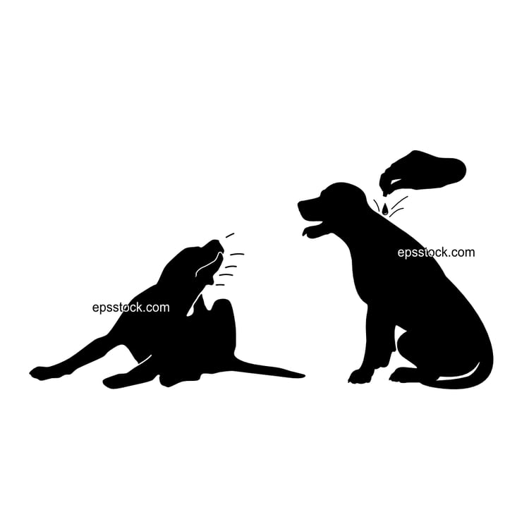 flea remedy for dogs