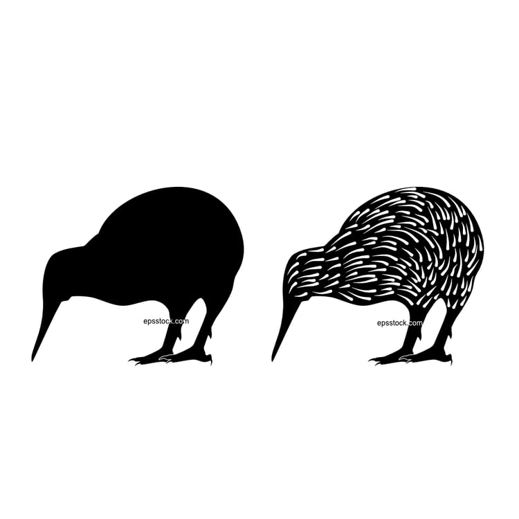 kiwi bird