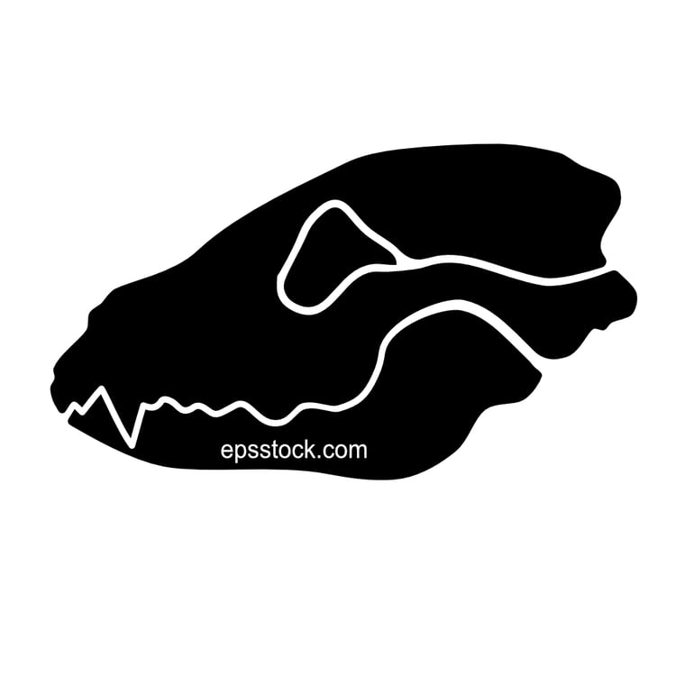 Dog skull