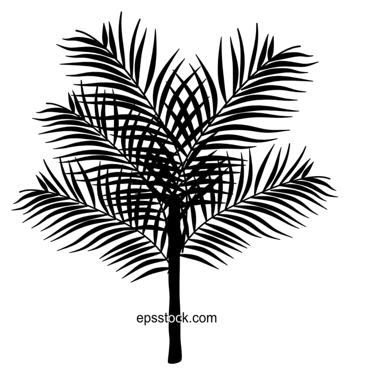 small palm tree