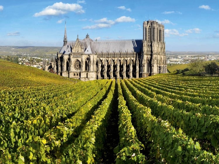 Reims Viñedos y Catedral
