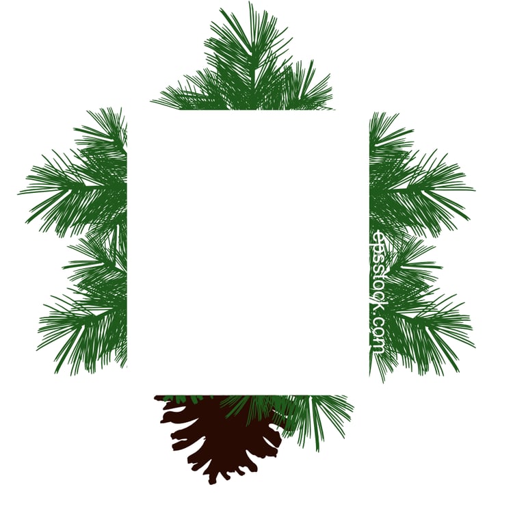 A square-shaped Christmas background featuring fir branches