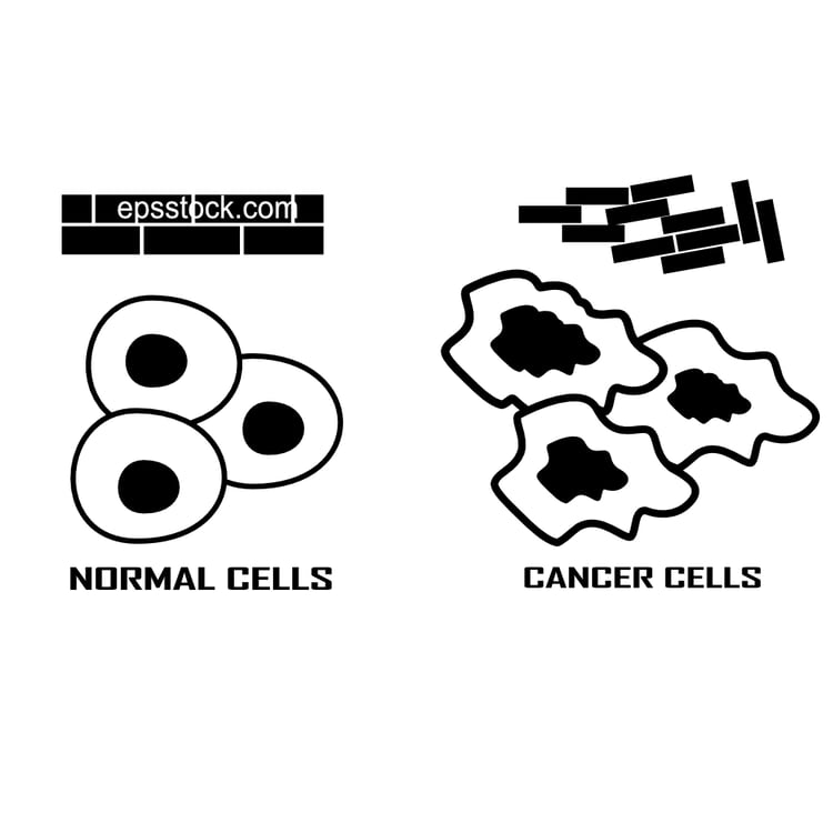 cancer cells