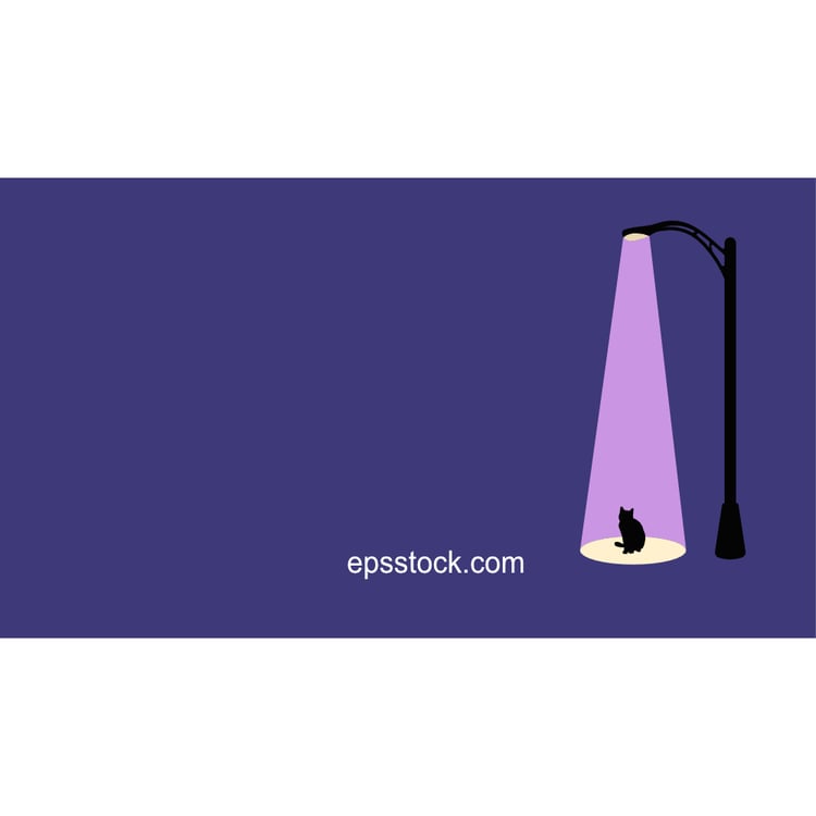 caring for homeless animals