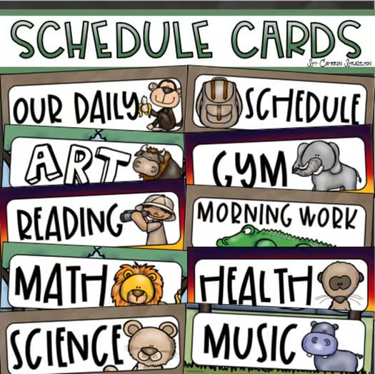 Daily Visual Schedule Cards for Classroom Agenda Jungle Safari Theme Editable
