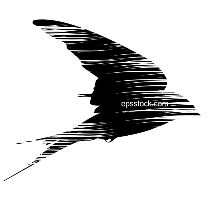 flying swallow in bad weather