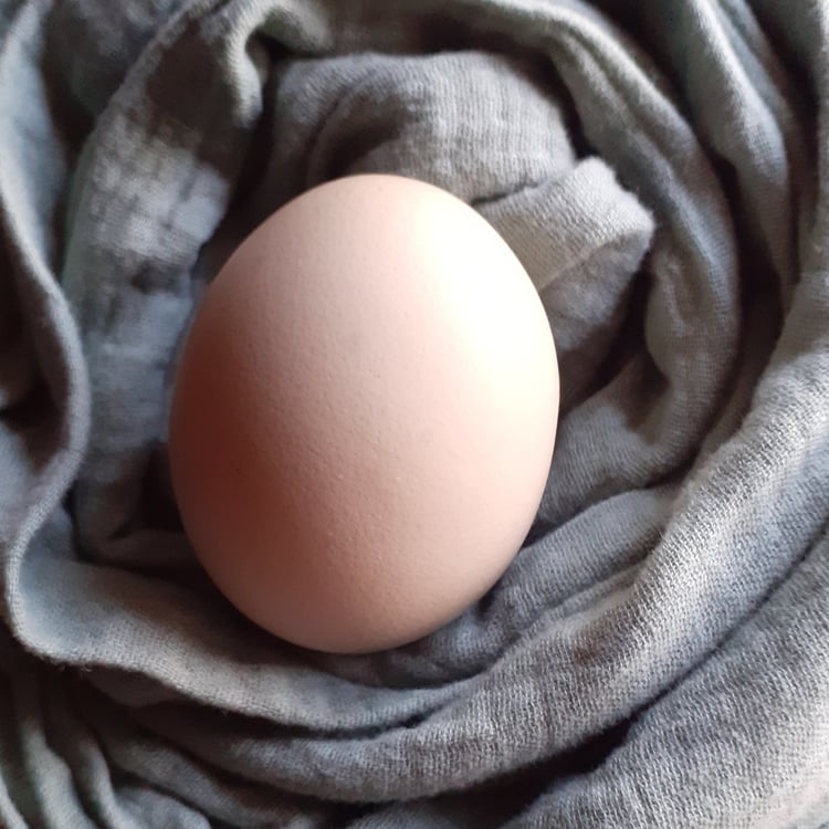an egg in cloth