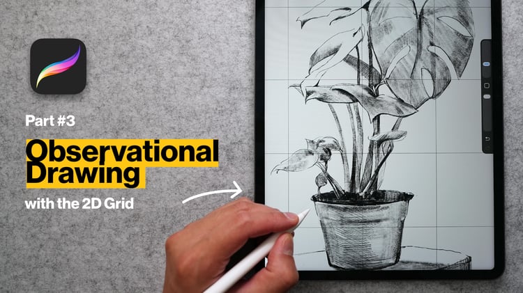 Observational Drawing with the 2D Grid