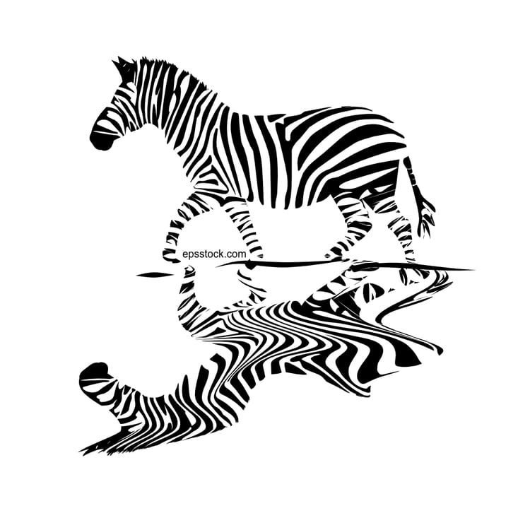 zebra in water