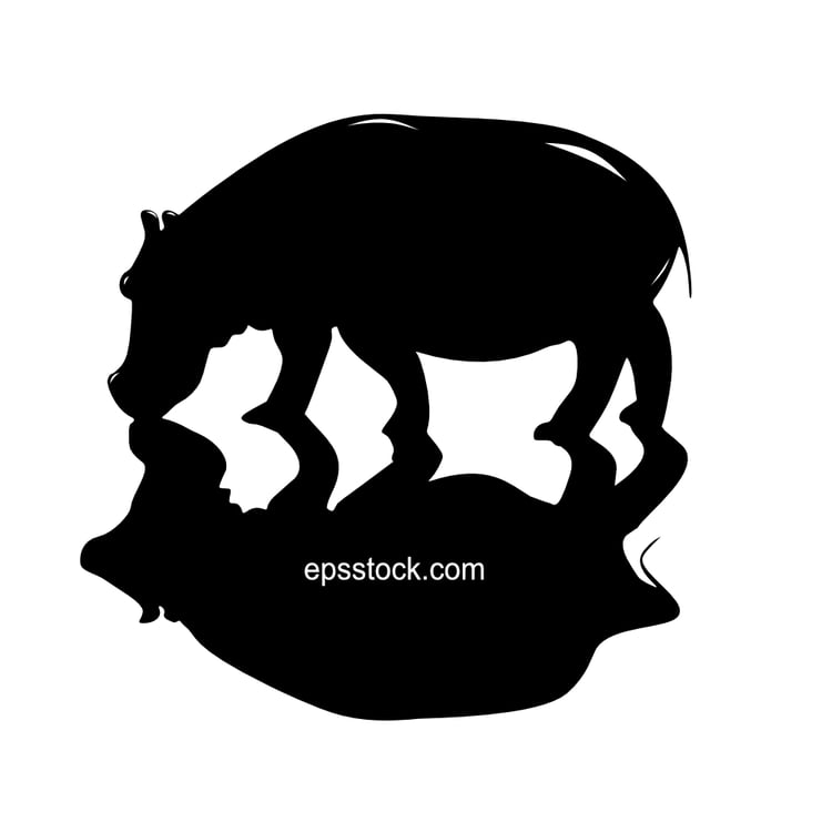 hippopotamus in water