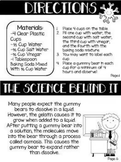 Grow Your Own Polar Bear Science | Gummy Bear Experiment