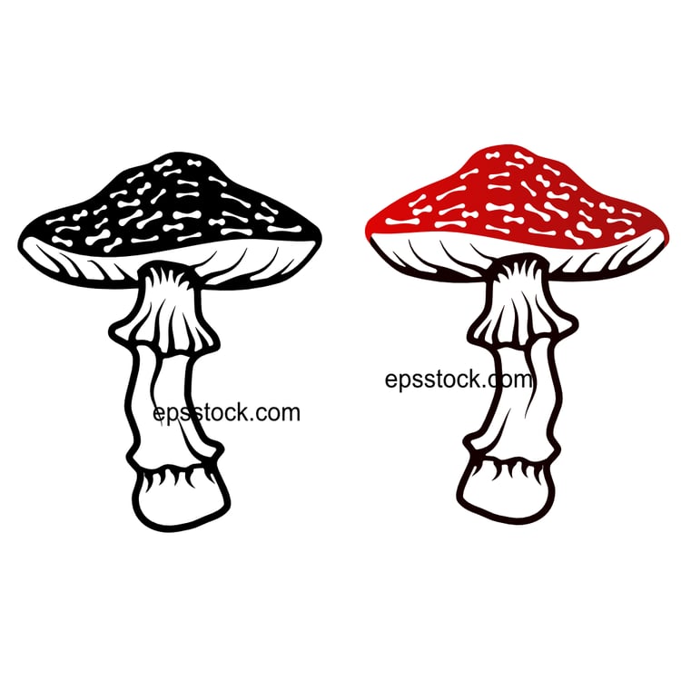 Amanita Mushroom