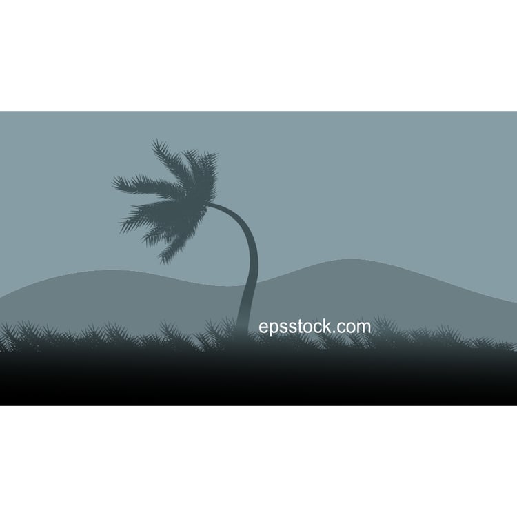 palm tree in hurricane