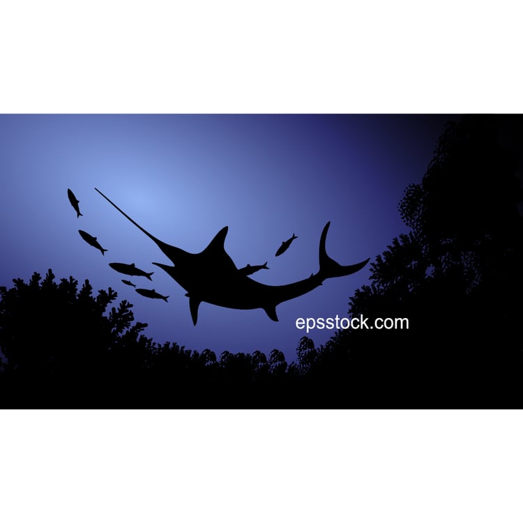 Swordfish in the ocean