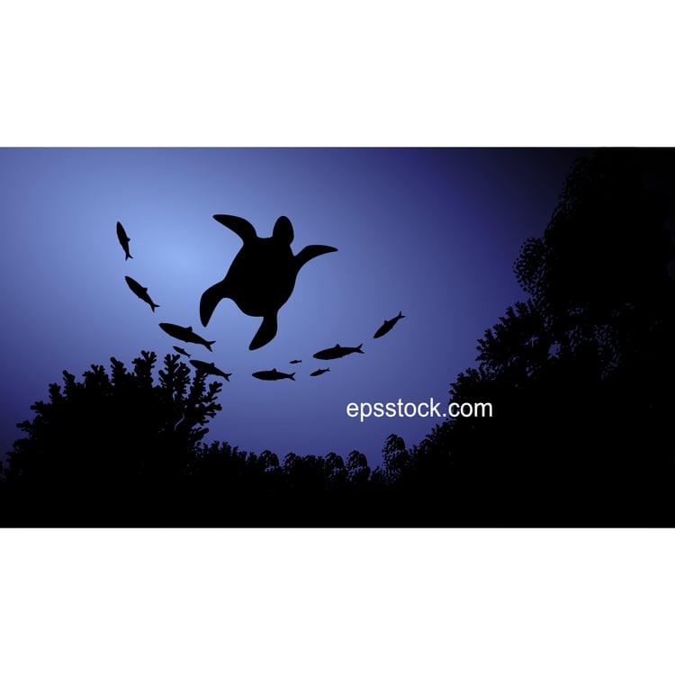 Sea turtle in the ocean