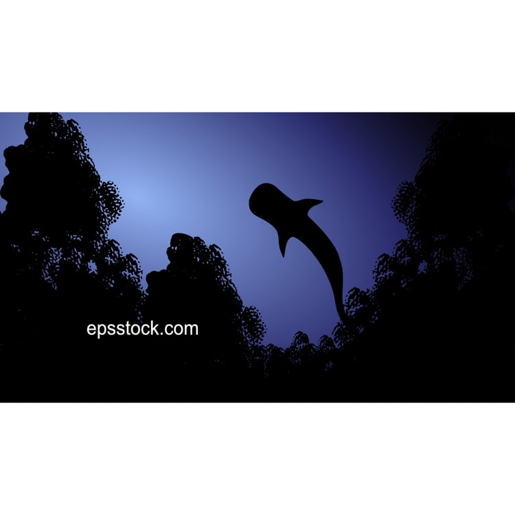 whale shark in ocean