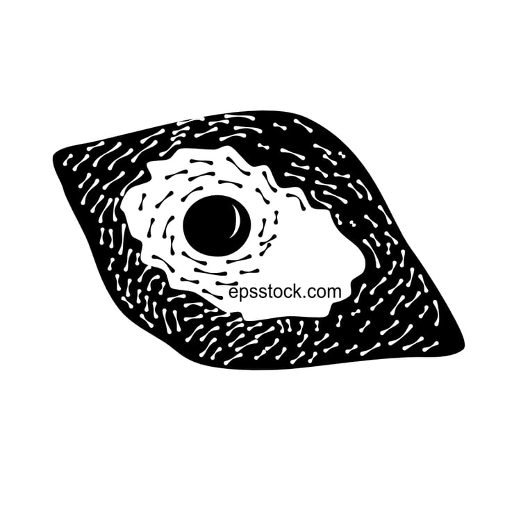 The Georgian Cheese Boat