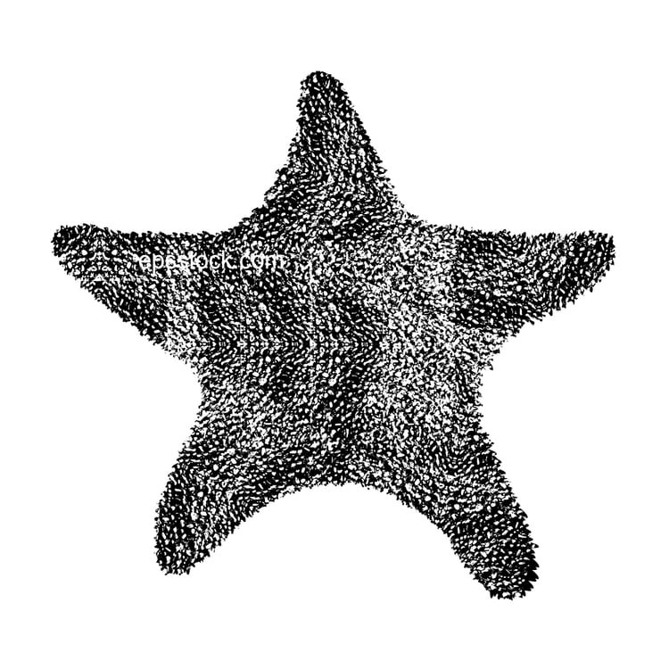hippasteria sea star