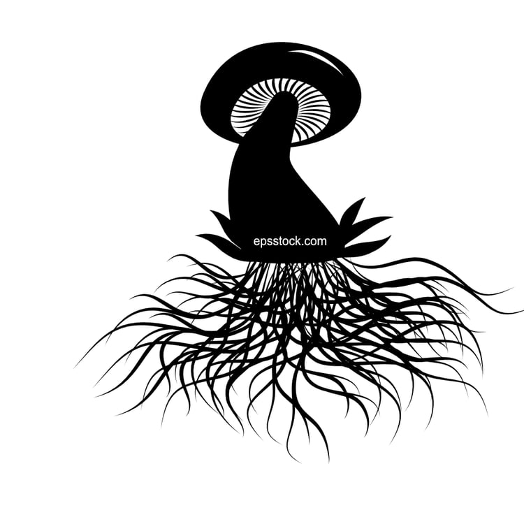 mushroom roots