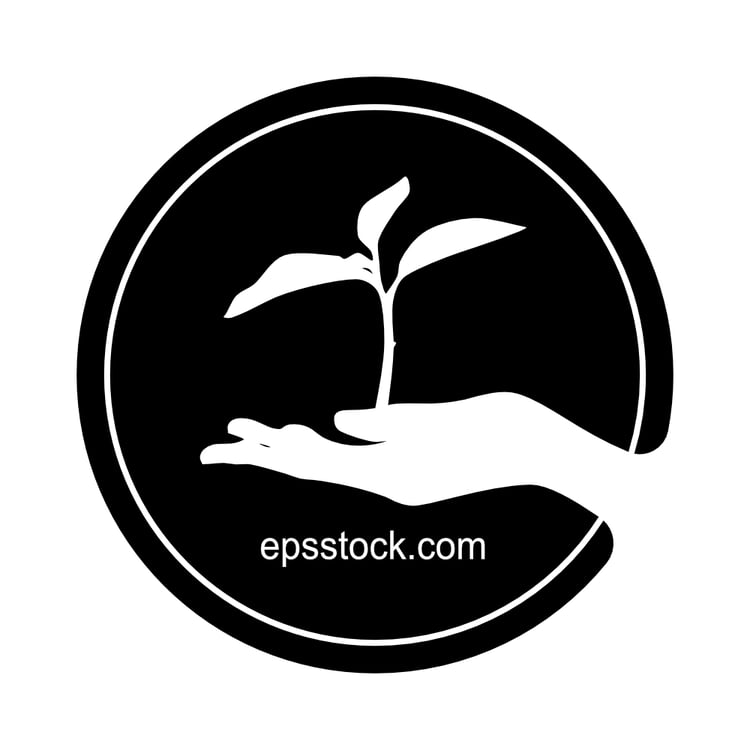 Human hand holding young plant