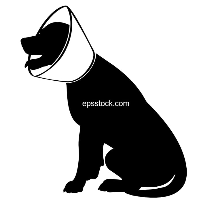 dog with elizabethan (buster) collar