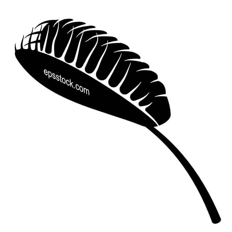 Venus flytrap (Dionaea muscipula)