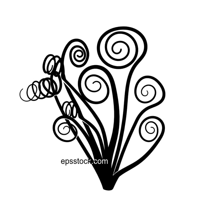 The Spiral Albuca Plant