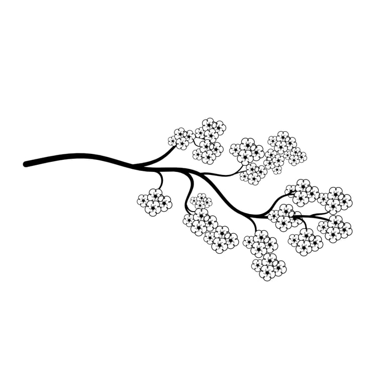 Japanese Cherry Blossoms