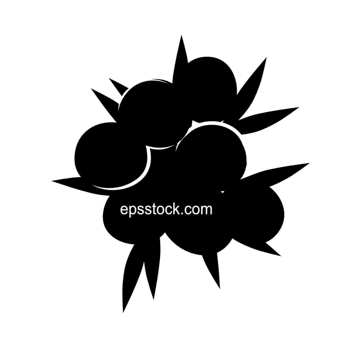 juniper with berries