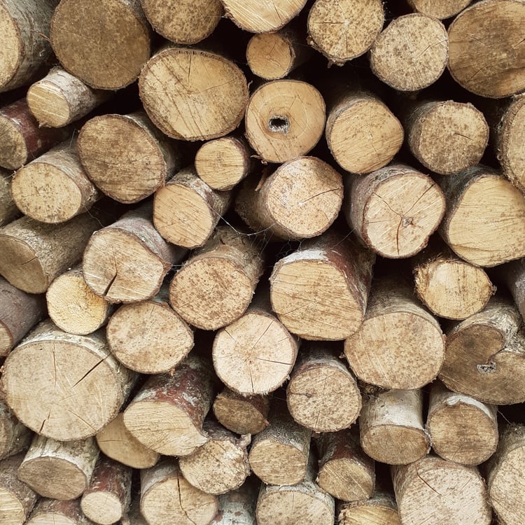 stack of logs