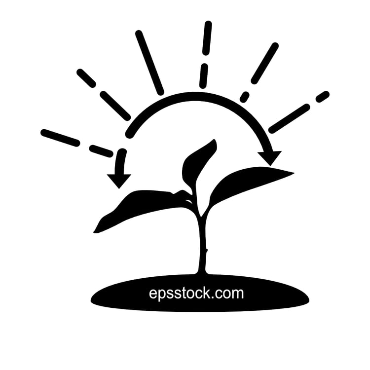 photosynthesis symbol