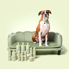 The Eventual Pet Grooming Guide: Finest Dog Shampoo for Dry Skin, Flea & Tick Safety, and Vital Pet Care Products 2 o 1javfn78u76hn4m104r945nimc