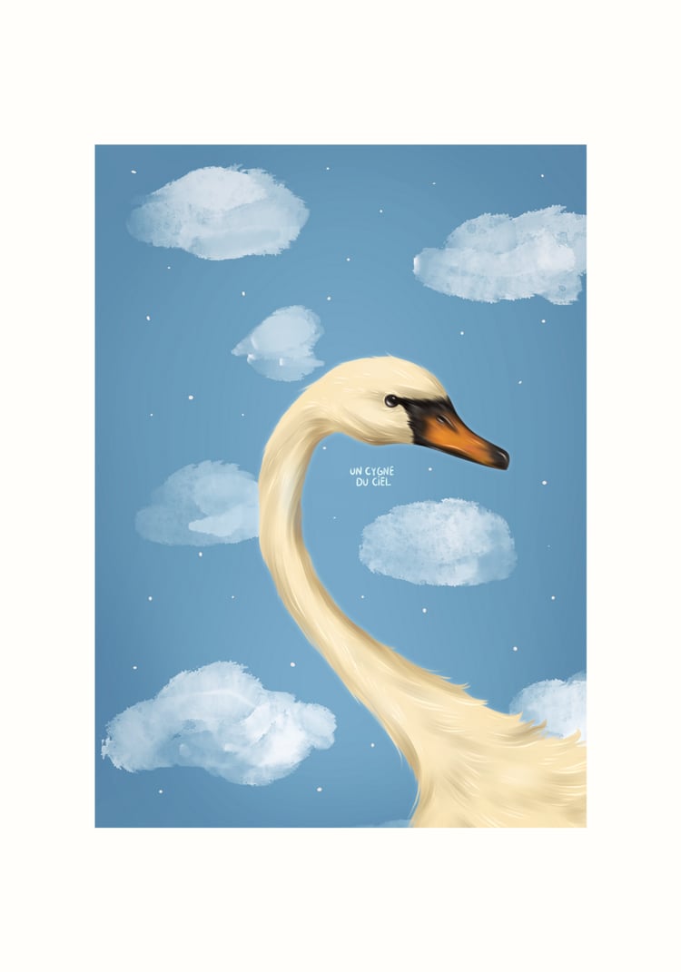 Illustration Maxime June - Le cygne