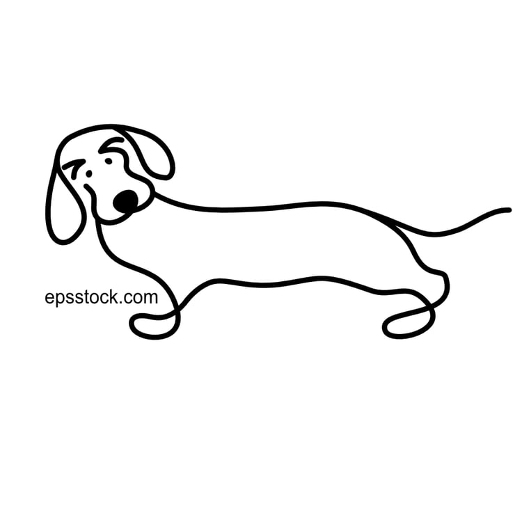 dachshund thinking moment