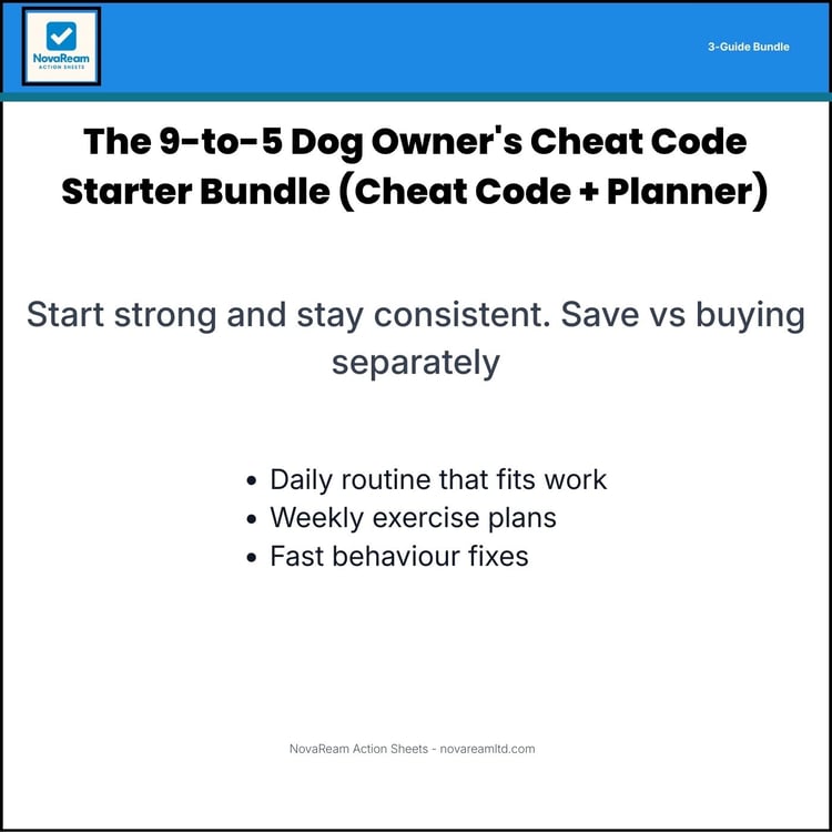 Starter Bundle for busy dog owners: daily walk ideas, quick brain games, and calm-down