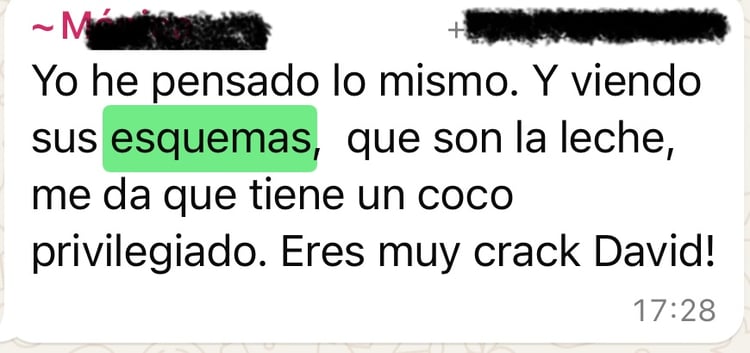 Opinión de un opositor satisfecho con los esquemas de Opositando con David