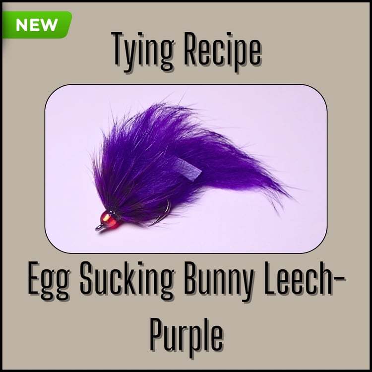 Purple Egg Sucking Bunny Leech streamer fly recipe for Steelhead by The Fly Guy.