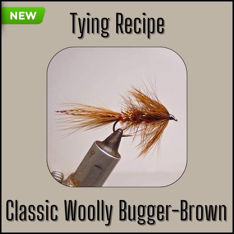 Tying recipe for a classic brown Woolly Bugger tied by Matt Campbell, The Fly Guy.