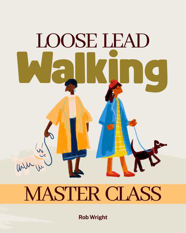Loose lead walking master class
