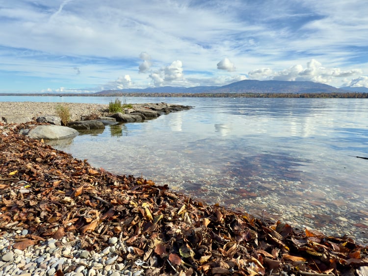 Bécassine Beach (Plage de la Bécassine) in Versoix, Canton of Geneva, Switzerland