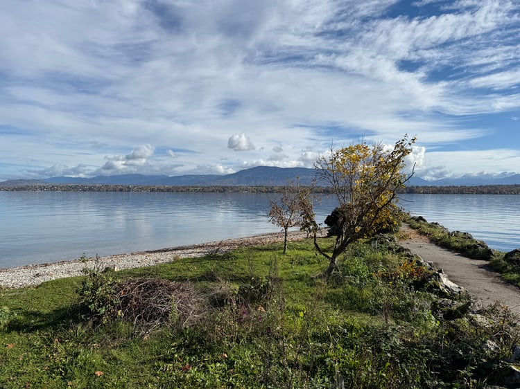 Bécassine Beach (Plage de la Bécassine) in Versoix, Canton of Geneva, Switzerland